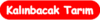 Kalınbacak
