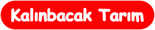Kalınbacak Tarım